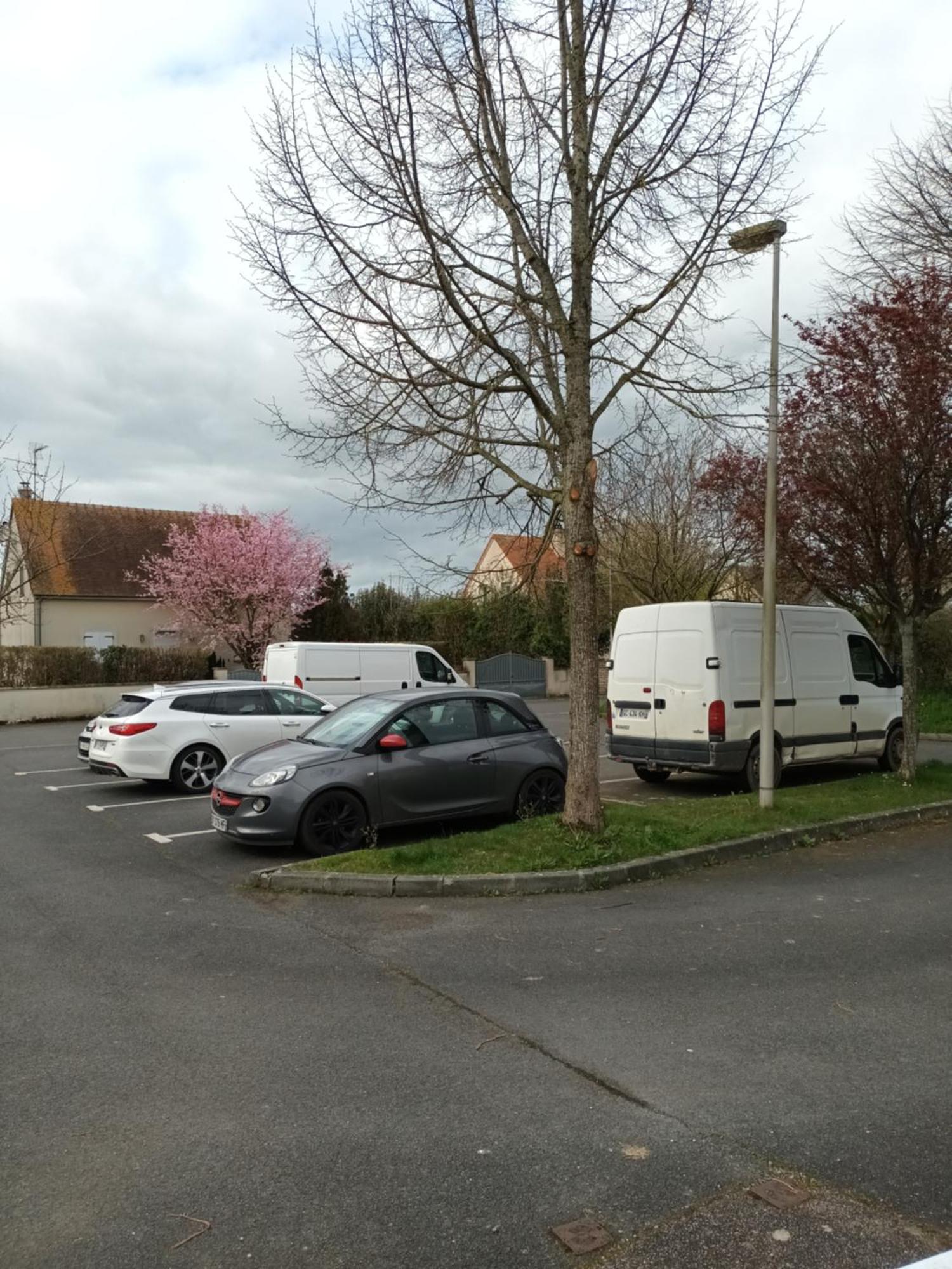 Appartement Tout Confort Le Fresne-Camilly المظهر الخارجي الصورة